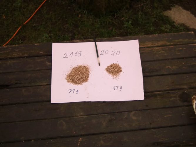 142221799_1395705680771232_4670637001047644856_n